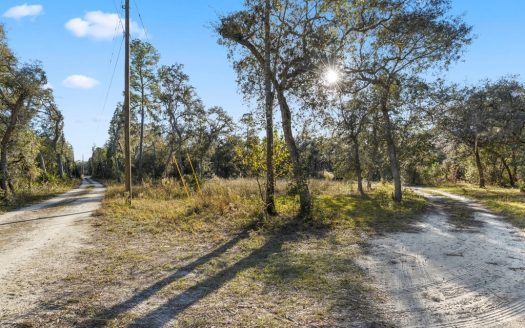 photo for a land for sale property for 09090-89682-Branford-Florida