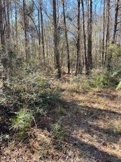 photo for a land for sale property for 01024-23135-Brantley-Alabama