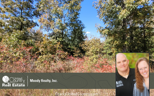 photo for a land for sale property for 03075-41915-Briarcliff-Arkansas