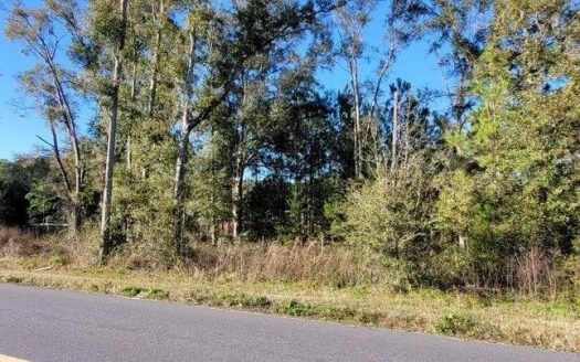 photo for a land for sale property for 09090-89875-Bronson-Florida