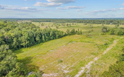 photo for a land for sale property for 09090-12083-Brooker-Florida