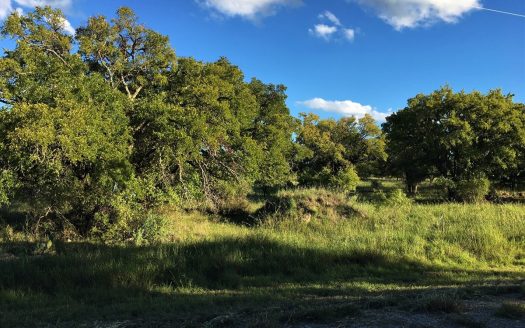 photo for a land for sale property for 42165-53530-Brownwood-Texas