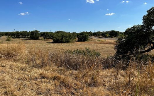 photo for a land for sale property for 42165-53899-Brownwood-Texas