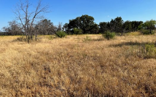 photo for a land for sale property for 42165-53900-Brownwood-Texas