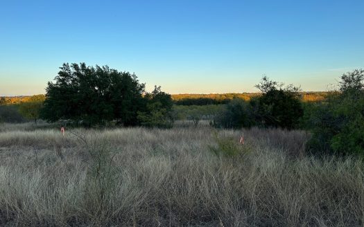 photo for a land for sale property for 42165-53903-Brownwood-Texas