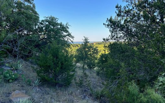photo for a land for sale property for 42165-53898-Brownwood-Texas