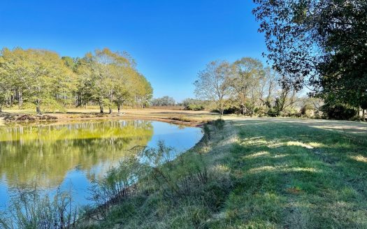 photo for a land for sale property for 01030-40521-Brundidge-Alabama