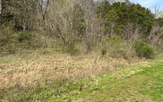 photo for a land for sale property for 16052-01812-Burkesville-Kentucky