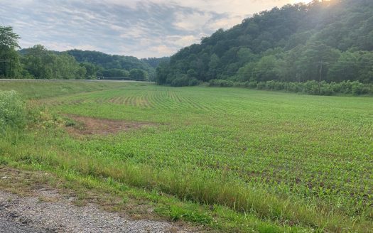 photo for a land for sale property for 16052-01854-Burkesville-Kentucky