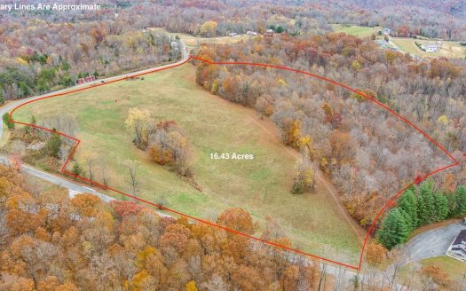 photo for a land for sale property for 16052-01983-Burkesville-Kentucky