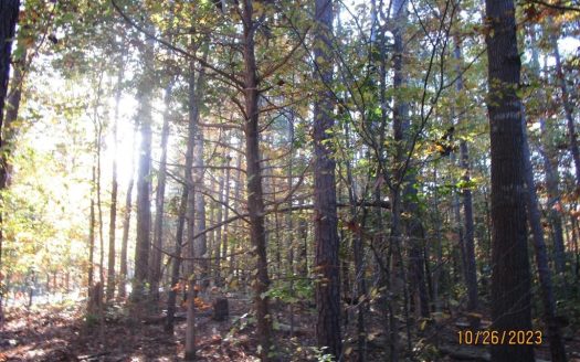 photo for a land for sale property for 45009-67950-Burkeville-Virginia
