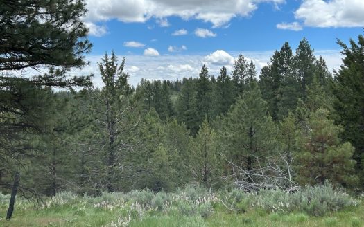 photo for a land for sale property for 36102-00336-Burns-Oregon
