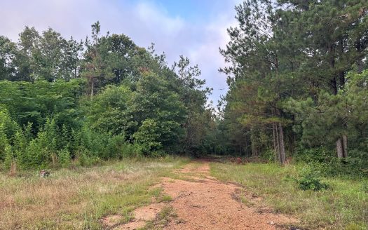 photo for a land for sale property for 03019-03798-Calhoun-Arkansas