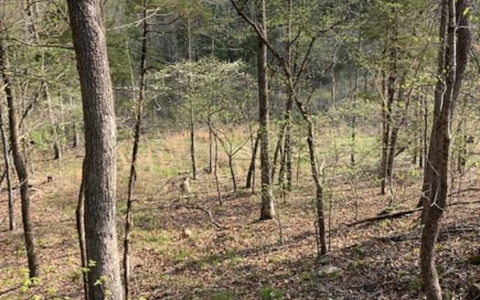 photo for a land for sale property for 03061-59780-Calico Rock-Arkansas