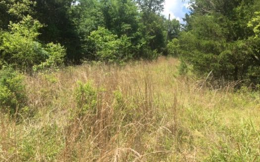 photo for a land for sale property for 03061-61010-Calico Rock-Arkansas
