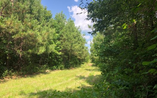 photo for a land for sale property for 03019-03815-Camden-Arkansas