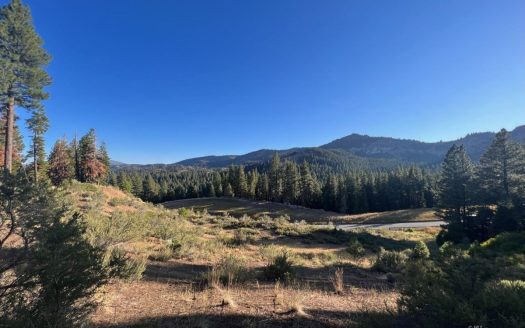 photo for a land for sale property for 04037-50490-Cedarville-California