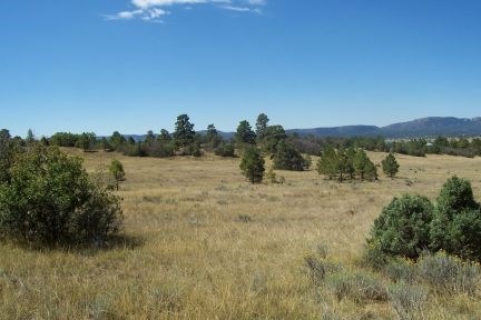 photo for a land for sale property for 30014-23601-Chama-New Mexico