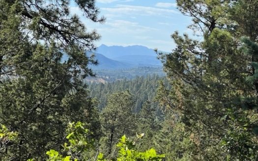 photo for a land for sale property for 30014-42160-Chama-New Mexico