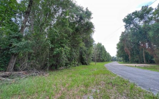 photo for a land for sale property for 09090-86593-Chiefland-Florida