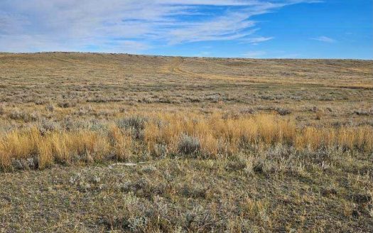 photo for a land for sale property for 25086-82828-Chinook-Montana
