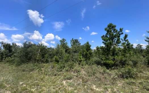 photo for a land for sale property for 01030-42823-Chipley-Florida