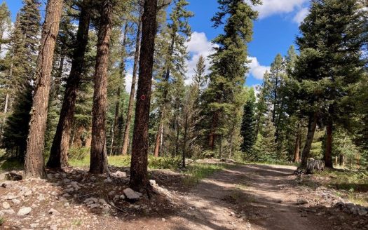 photo for a land for sale property for 05056-07280-Cimarron-Colorado
