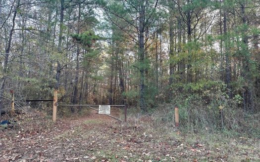 photo for a land for sale property for 23042-32165-Clarks-Louisiana