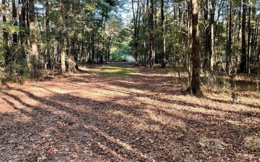 photo for a land for sale property for 23042-40264-Clinton-Mississippi