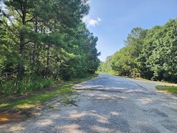 photo for a land for sale property for 39053-10016-Clinton-South Carolina