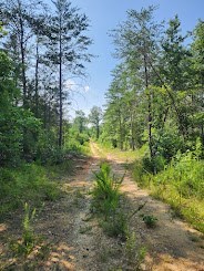 photo for a land for sale property for 39053-10015-Clinton-South Carolina