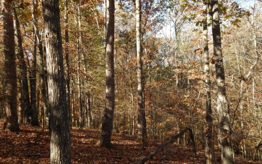 photo for a land for sale property for 41103-19728-Collinwood-Tennessee
