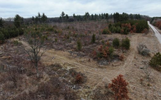 photo for a land for sale property for 48084-69534-Coloma-Wisconsin