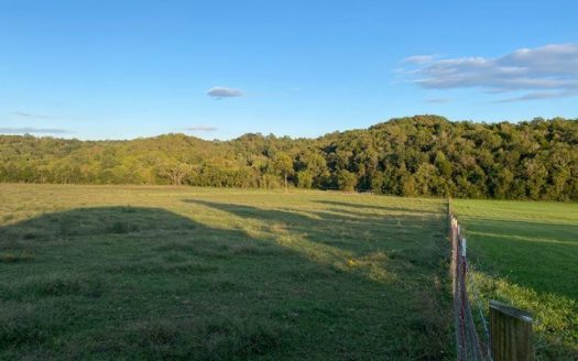 photo for a land for sale property for 41061-22024-Columbia-Tennessee