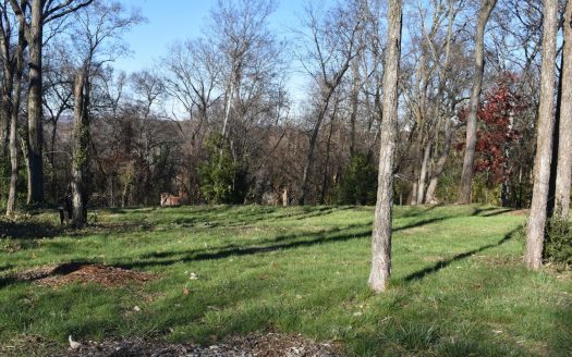 photo for a land for sale property for 41093-25038-Columbia-Tennessee