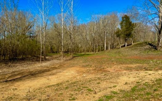 photo for a land for sale property for 41025-20399-Cookeville-Tennessee