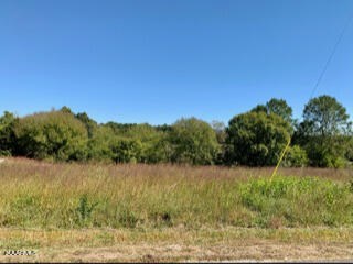 photo for a land for sale property for 41054-08293-Cookeville-Tennessee