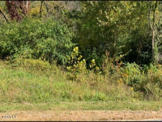 photo for a land for sale property for 41054-08310-Cookeville-Tennessee