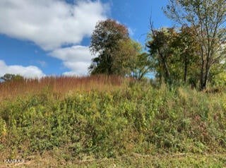 photo for a land for sale property for 41054-08311-Cookeville-Tennessee