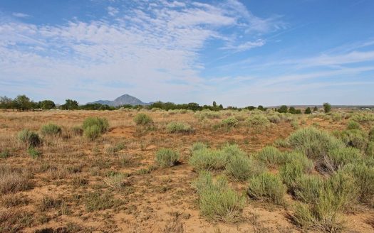 photo for a land for sale property for 05099-80235-Cortez-Colorado