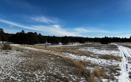 photo for a land for sale property for 05052-70131-Cotopaxi-Colorado