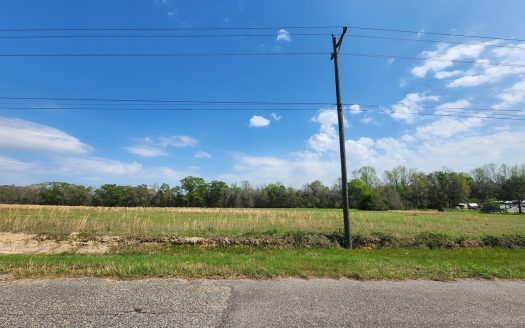 photo for a land for sale property for 01024-23065-Cottonwood-Alabama