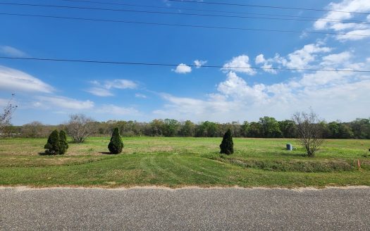 photo for a land for sale property for 01024-23095-Cottonwood-Alabama