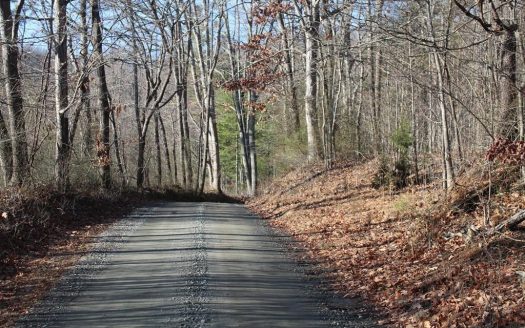 photo for a land for sale property for 45007-68450-Crozet-Virginia
