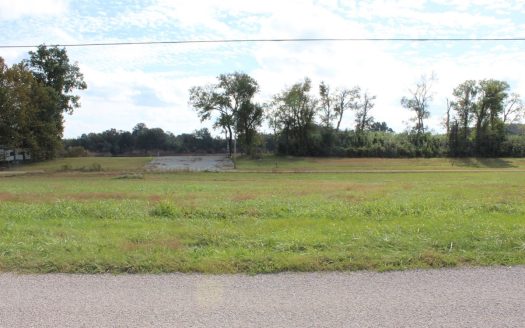 photo for a land for sale property for 41060-05029-Crump-Tennessee