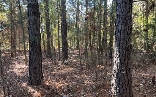 photo for a land for sale property for 42139-22325-Daingerfield-Texas