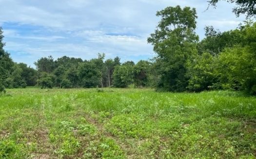 photo for a land for sale property for 42251-90213-Daingerfield-Texas