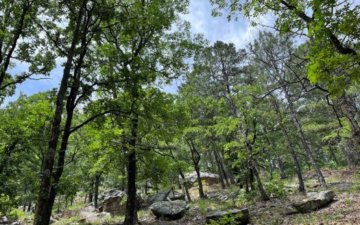 photo for a land for sale property for 35119-20003-Daisy-Oklahoma