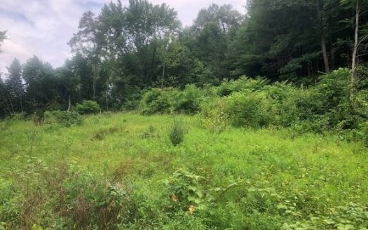 photo for a land for sale property for 45093-86238-Damascus-Virginia