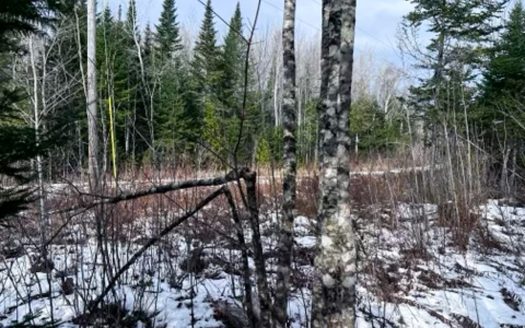 photo for a land for sale property for 18015-10340-Danforth-Maine